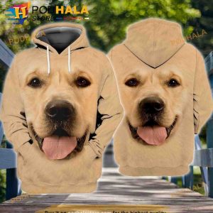 Golden Retriever Lovers 3D Hoodie