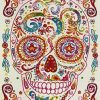 Boy And Girl Bedroom Modern Decor Area Rug Carpet And Carpet Collection For Kids And Children Rainbow Happy Sugar Skull